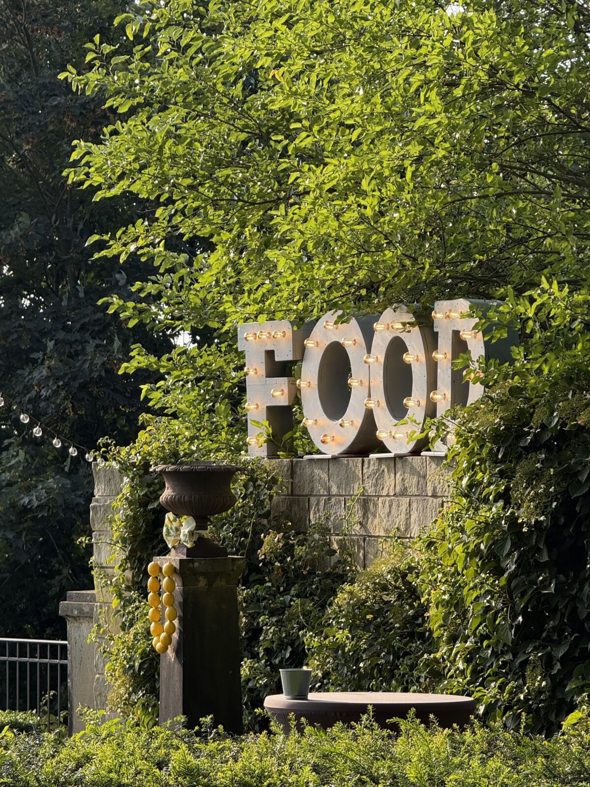 IMG 4817 - image